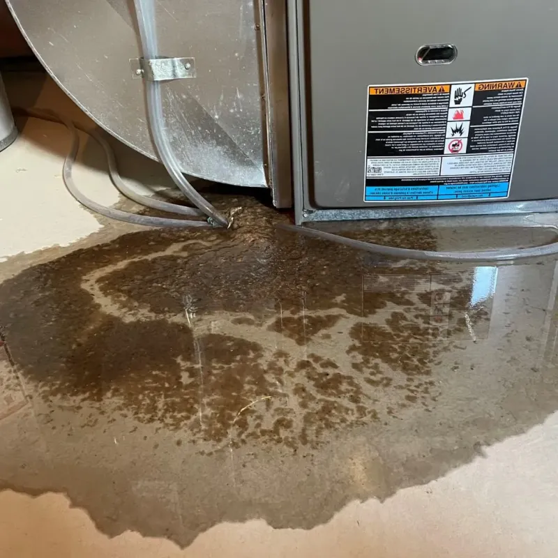 Pipe Burst and Leak Restoration in Sharonville, OH