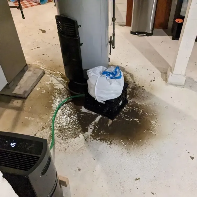Sewage Backup Cleanup Service in Sharonville, OH